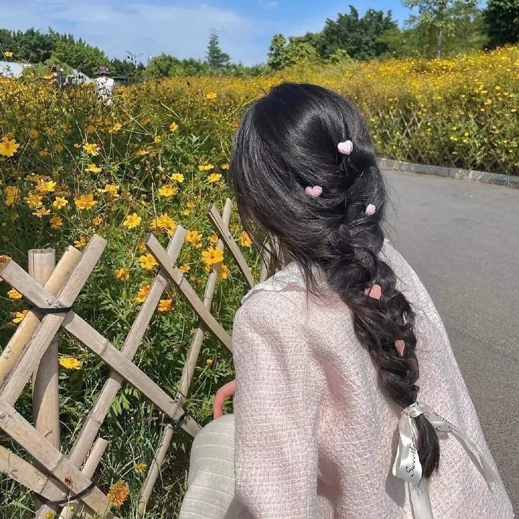 绅士强盗